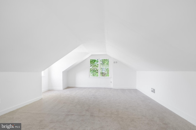 3409 Old York Rd, Furlong, PA 18925 - bonus room with vaulted ceiling and carpet flooring