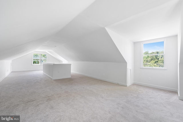 3409 Old York Rd, Furlong, PA 18925 - bonus room featuring lofted ceiling and light carpet