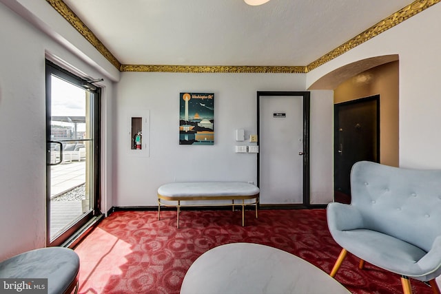1 Scott Cir NW Unit 305, Washington, DC 20036 - living area with carpet, plenty of natural light, and arched walkways