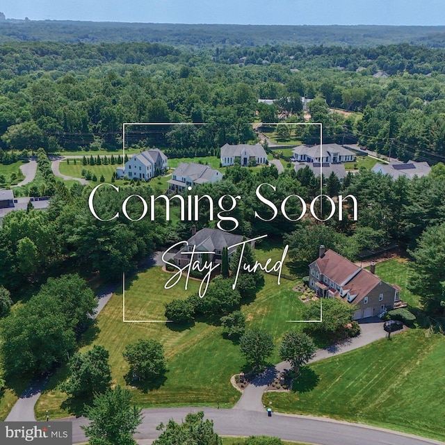 10009 Thompson Ridge Ct, Great Falls, VA 22066 - drone / aerial view of a forest