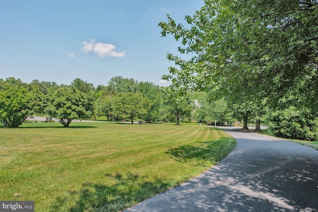 10009 Thompson Ridge Ct, Great Falls, VA 22066 - view of home's community with a lawn