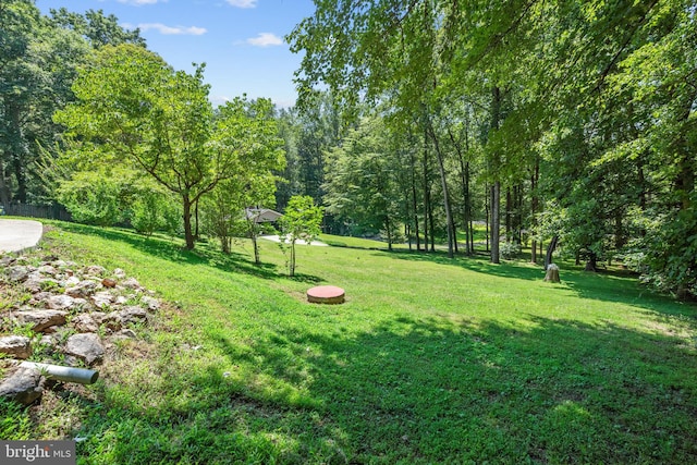 10418 Adel Rd, Oakton, VA 22124 - view of green lawn