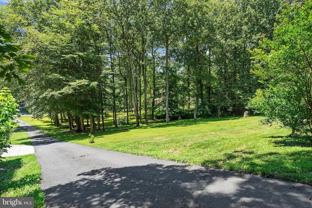 10418 Adel Rd, Oakton, VA 22124 - surrounding community featuring a yard