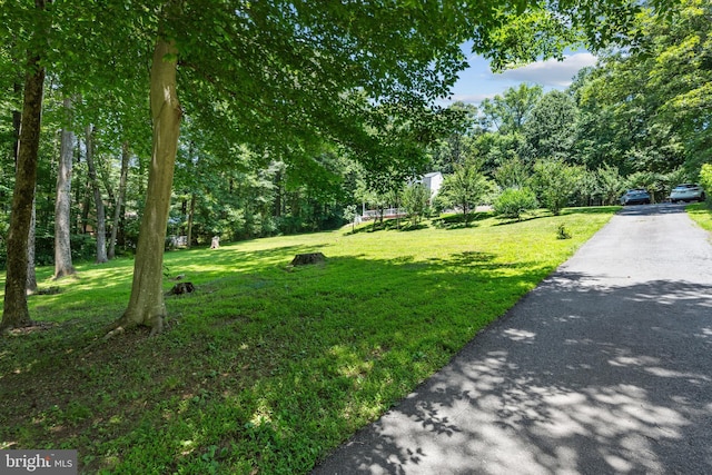 10418 Adel Rd, Oakton, VA 22124 - view of green lawn with asphalt driveway