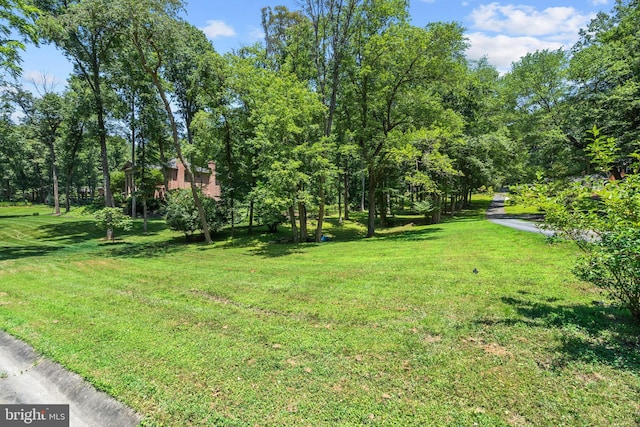10418 Adel Rd, Oakton, VA 22124 - view of green lawn
