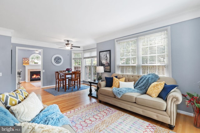 6038 Lincolnia Rd, Alexandria, VA 22312 - living room featuring a ceiling fan, wood finished floors, crown molding, and a fireplace with flush hearth