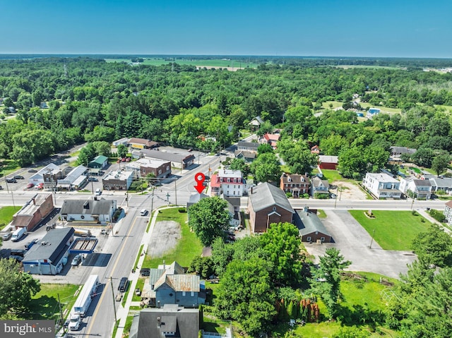 396 Cypress St, Millington, MD 21651 - drone / aerial view of a forest