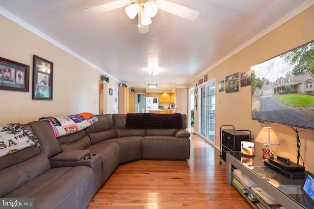 744 Pontzer Rd, Strasburg, VA 22657 - living room with light wood finished floors, a ceiling fan, and ornamental molding