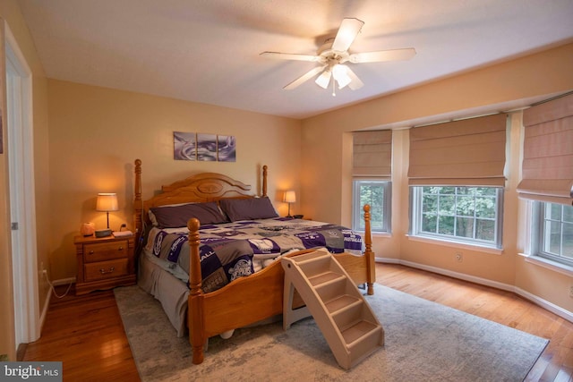 744 Pontzer Rd, Strasburg, VA 22657 - bedroom with wood finished floors and a ceiling fan