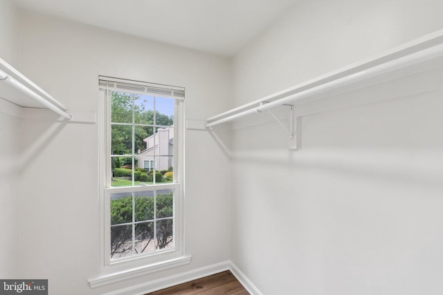 1544 Ingram Ter, Silver Spring, MD 20906 - walk in closet with wood finished floors