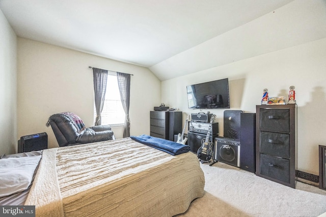 6 Spring Mill Ct, Sewell, NJ 08080 - bedroom with carpet floors and vaulted ceiling