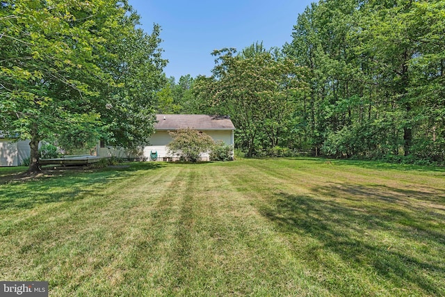 10624 Millbrook Dr, Chestertown, MD 21620 - view of grassy yard