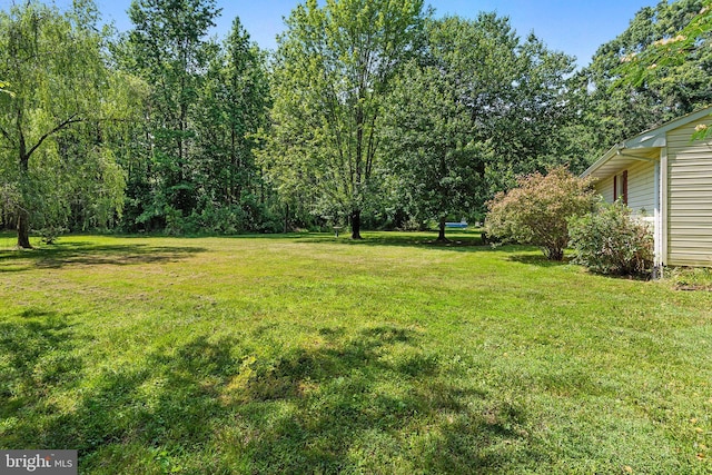 10624 Millbrook Dr, Chestertown, MD 21620 - view of green lawn