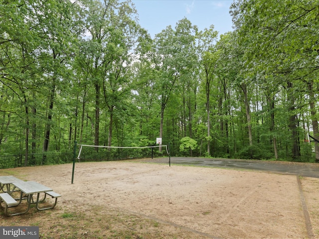 7313 Husky Ln, Springfield, VA 22151 - view of community featuring volleyball court and a forest view