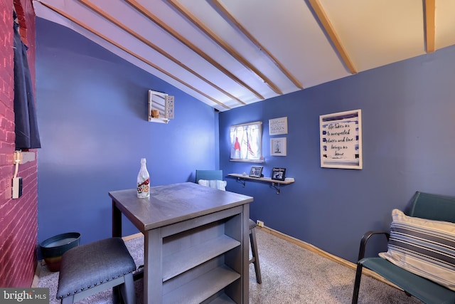 48 Ranck Ave, Lancaster, PA 17602 - office space with lofted ceiling and carpet floors