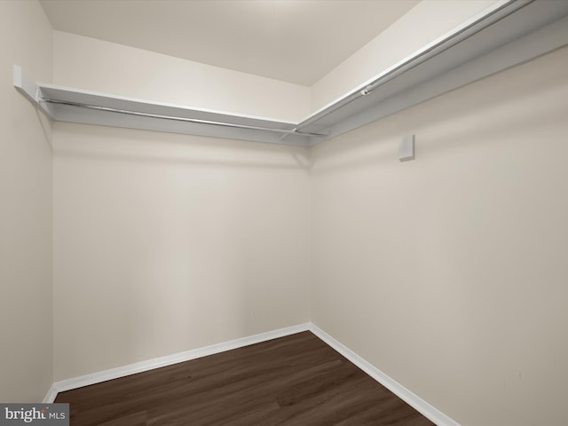 18615 Walkers Choice Rd # 2, Gaithersburg, MD 20886 - spacious closet with dark wood-style floors