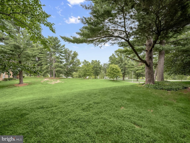 18615 Walkers Choice Rd # 2, Gaithersburg, MD 20886 - view of green lawn featuring view of scattered trees