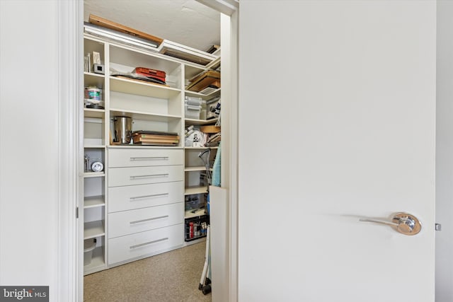 191 Presidential Blvd Unit R-605, Bala Cynwyd, PA 19004 - view of spacious closet