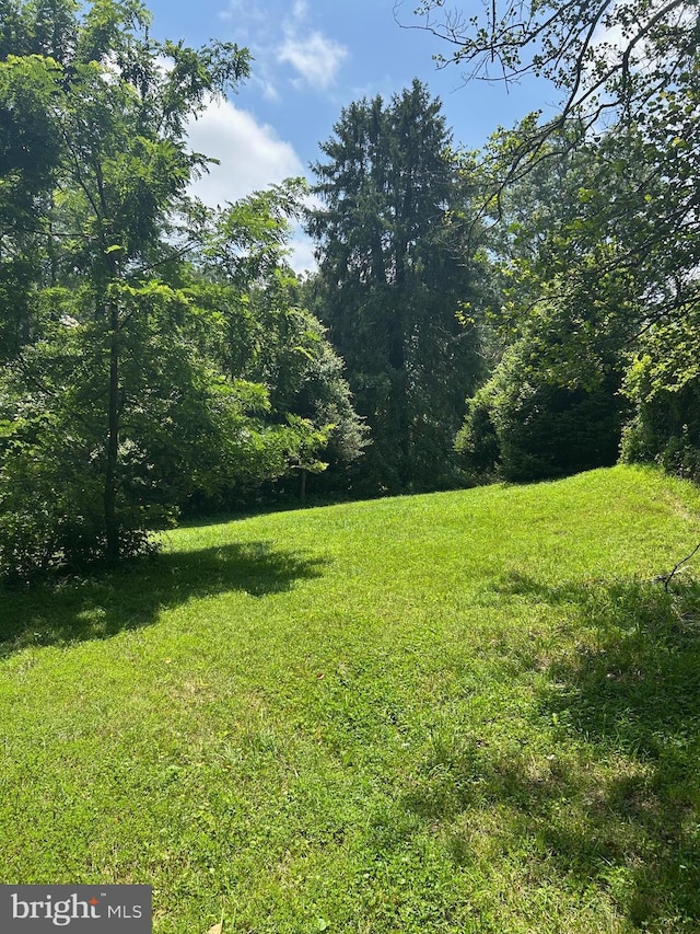 8335 Alvord St, Mclean, VA 22102 - view of grassy yard featuring a wooded view