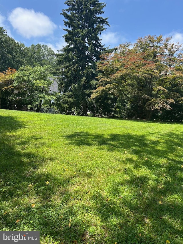 8335 Alvord St, Mclean, VA 22102 - view of grassy yard