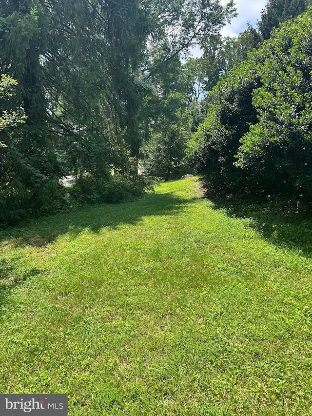 8335 Alvord St, Mclean, VA 22102 - view of green lawn