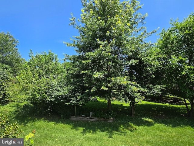 526 Fairground Rd, Newport, PA 17074 - view of green lawn