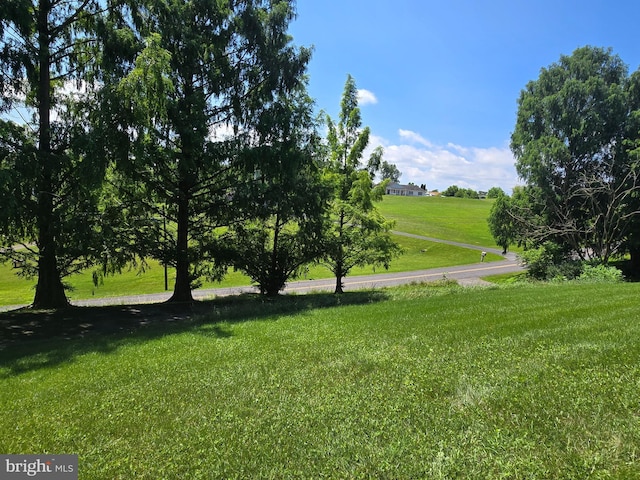 526 Fairground Rd, Newport, PA 17074 - view of property's community featuring a yard