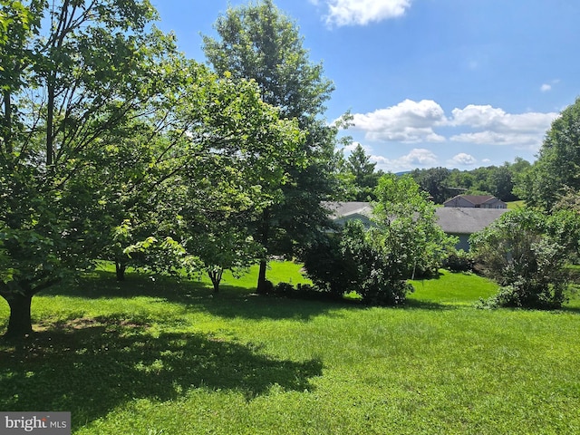 526 Fairground Rd, Newport, PA 17074 - view of green lawn