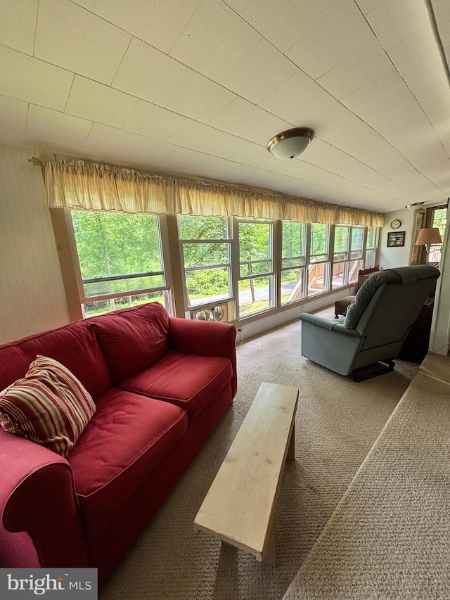 4677 Back Hollow Rd, Blain, PA 17006 - living room featuring plenty of natural light and carpet floors