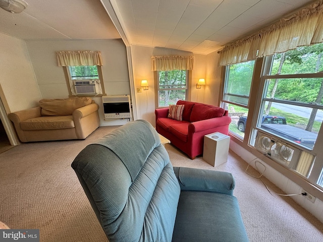 4677 Back Hollow Rd, Blain, PA 17006 - living area with heating unit, carpet flooring, and cooling unit