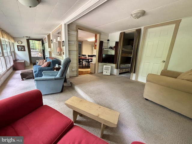 4677 Back Hollow Rd, Blain, PA 17006 - view of carpeted living area