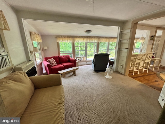 4677 Back Hollow Rd, Blain, PA 17006 - living room with wood finished floors
