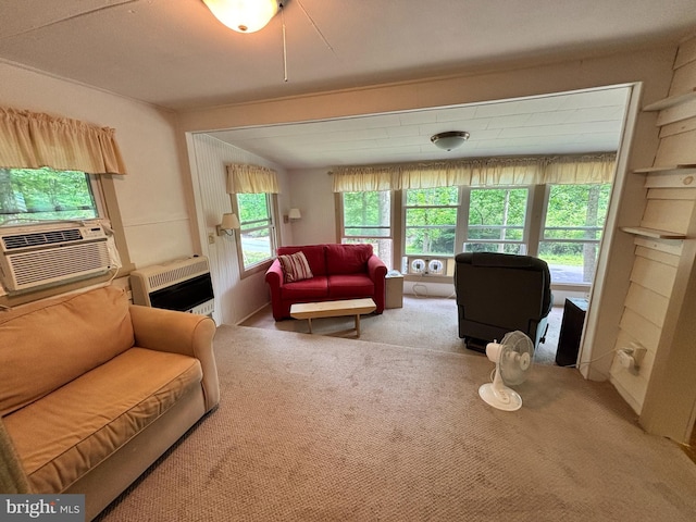 4677 Back Hollow Rd, Blain, PA 17006 - carpeted living area with heating unit and cooling unit