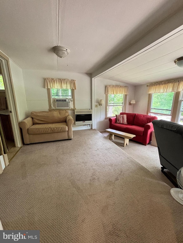 4677 Back Hollow Rd, Blain, PA 17006 - living room with heating unit, carpet, a textured ceiling, and cooling unit
