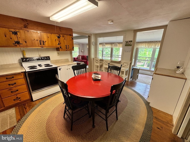 4677 Back Hollow Rd, Blain, PA 17006 - dining room with light wood-style flooring and a textured ceiling
