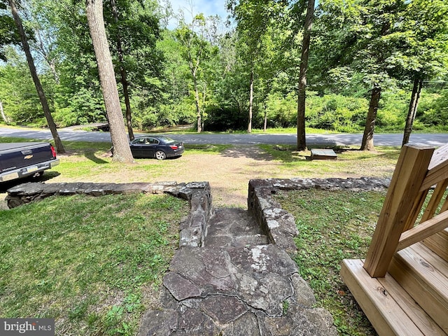 4677 Back Hollow Rd, Blain, PA 17006 - view of yard