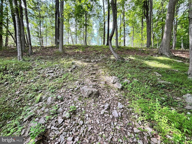 4677 Back Hollow Rd, Blain, PA 17006 - view of undeveloped land
