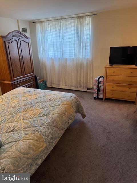 724 Susquehanna Rd, Philadelphia, PA 19111 - bedroom featuring multiple windows and carpet