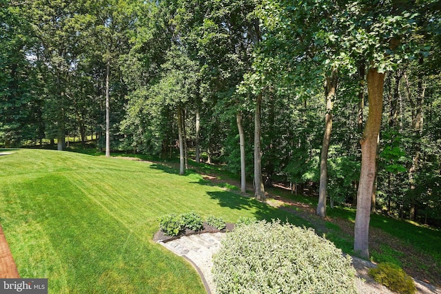 616 Silverstone Ct, Silver Spring, MD 20905 - view of grassy yard