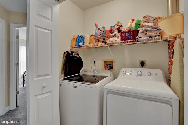 14 Wyomissing Ct, Wyomissing, PA 19610 - laundry area with washing machine and clothes dryer and carpet