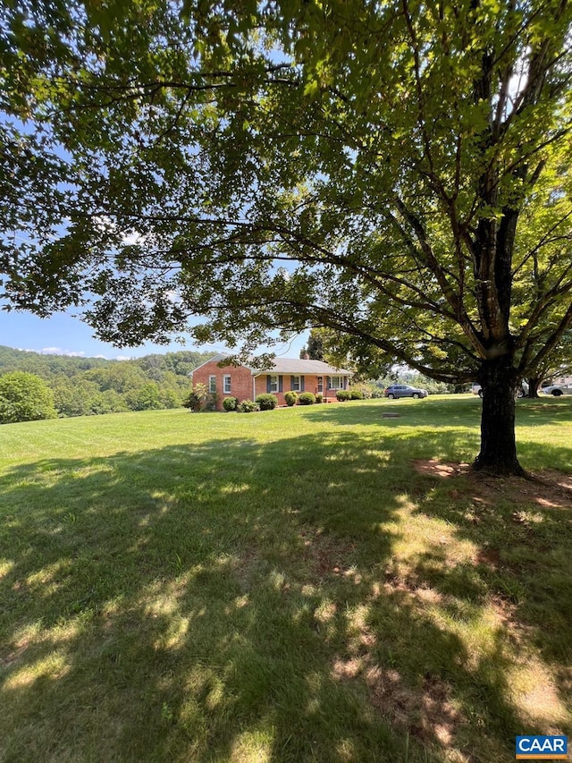 1410 Stevens Cove Rd, Lovingston, VA 22949 - view of green lawn