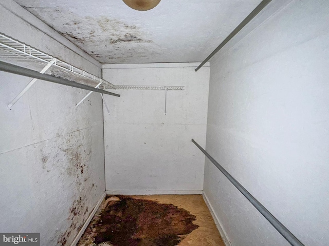 507 Market St, New Cumberland, PA 17070 - view of walk in closet