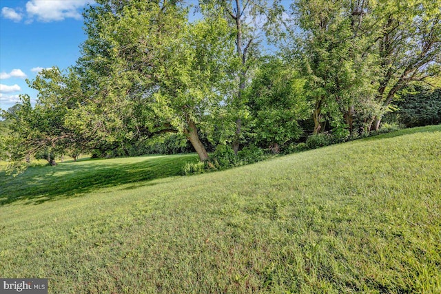 270 Gouglersville Rd, Reading, PA 19608 - view of grassy yard