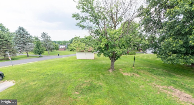 640 Bollinger Rd, Littlestown, PA 17340 - view of green lawn with a shed