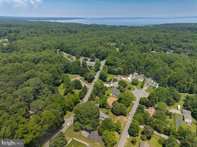 2090 Clearview Dr, Owings, MD 20736 - aerial view of a forest