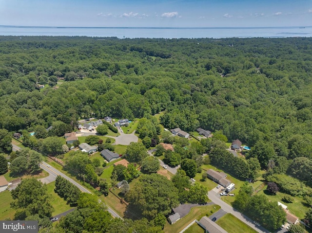 2090 Clearview Dr, Owings, MD 20736 - bird's eye view of a heavily wooded area and a nearby body of water