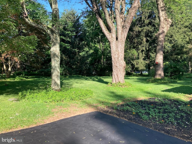 1420 E Boot Rd, West Chester, PA 19380 - view of grassy yard with a patio
