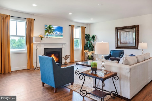 11100 Slate Landing Ln, Nokesville, VA 20181 - living area featuring a glass covered fireplace, wood finished floors, and recessed lighting