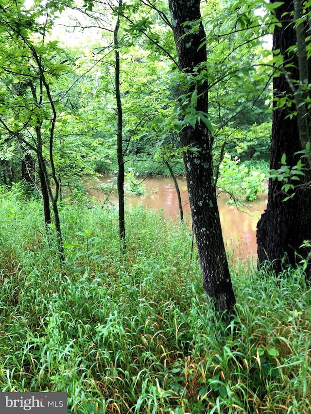 11100 Slate Landing Ln, Nokesville, VA 20181 - view of woods