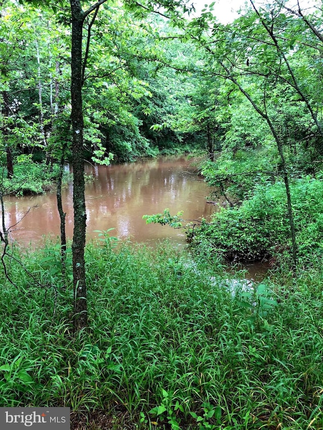 11100 Slate Landing Ln, Nokesville, VA 20181 - view of woods